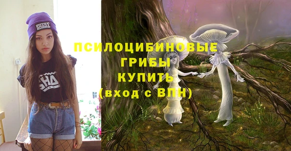 дживик Осинники