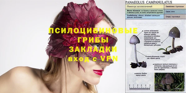 дживик Осинники