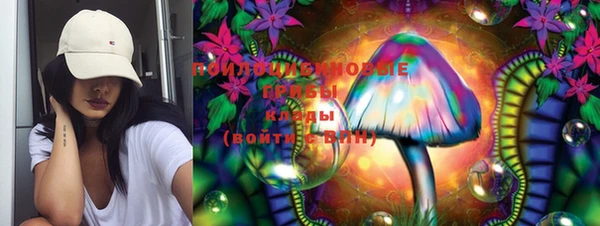 дживик Осинники