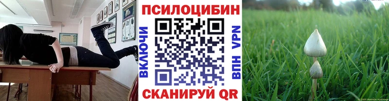Псилоцибиновые грибы GOLDEN TEACHER  Киреевск 