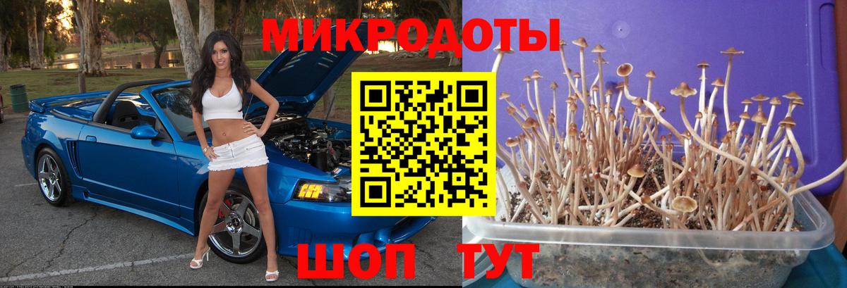 Киреевск  наркота  Вход с VPN  Галлюциногенные грибы Psilocybe 